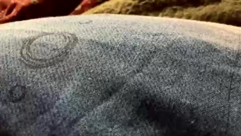 DarqLight online show from 19, 12, 2024