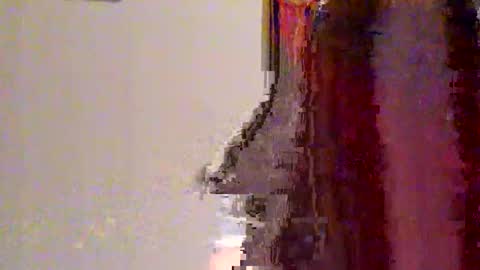 novahexx online show from 13, 4, 2026