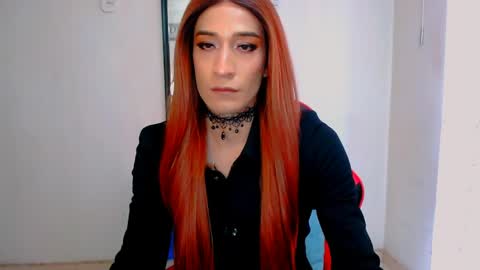 Nova...  online show from 3, 4, 2026