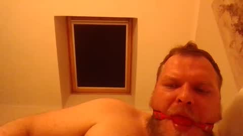 Snapshot of obesepervpiggy89 chatting on 15, 1, 2026 obesepervpiggy89 online show from 15, 1, 2026