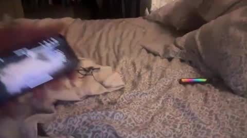 Snapshot of obiwand653040 chatting on 4, 11, 2025 obiwand653040 online show from 4, 11, 2025