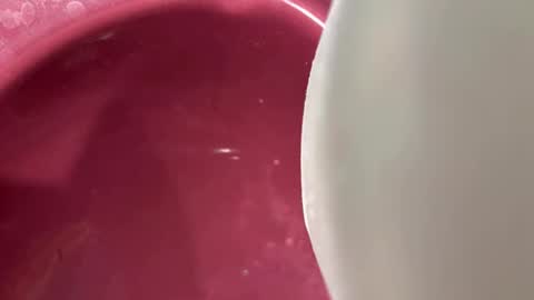 oconner701 online show from 6, 11, 2025