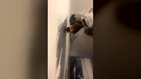 Snapshot of octavia_cd chatting on 14, 12, 2025 Kira online show from 14, 12, 2025