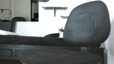 Snapshot of oezack__ chatting on 13, 5, 2026 Zack online show from 13, 5, 2026