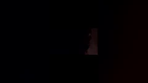 official1337 online show from 7, 4, 2026