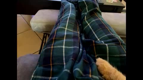 Snapshot of oggs48 chatting on 28, 10, 2025 oggs48 online show from 28, 10, 2025