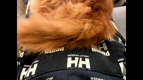 Snapshot of oggs48 chatting on 1, 11, 2025 oggs48 online show from 1, 11, 2025