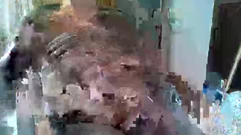 William online show from 27, 9, 2025