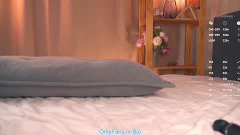 Snapshot of oke_doke chatting on 29, 11, 2025 Henrietta or Rita online show from 29, 11, 2025