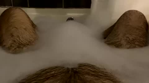 Snapshot of oldbones2 chatting on 16, 2, 2025 oldbones2 online show from 16, 2, 2025