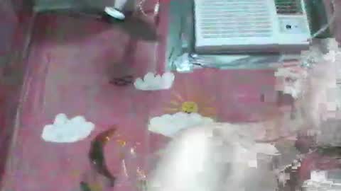 Snapshot of oldbuthorny62 chatting on 23, 11, 2025 oldbuthorny62 online show from 23, 11, 2025