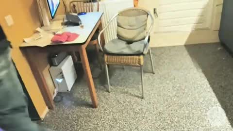 oldersagger online show from 5, 12, 2025