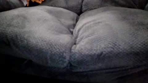 Snapshot of oldmiguy chatting on 15, 4, 2026 OldMIGUY online show from 15, 4, 2026