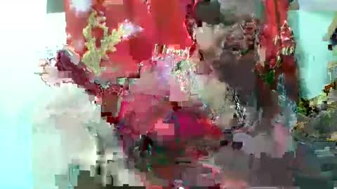 olgaaldy online show from 20, 11, 2025