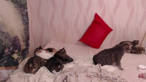 Snapshot of olivia_redd chatting on 4, 3, 2025 Olivia online show from 4, 3, 2025