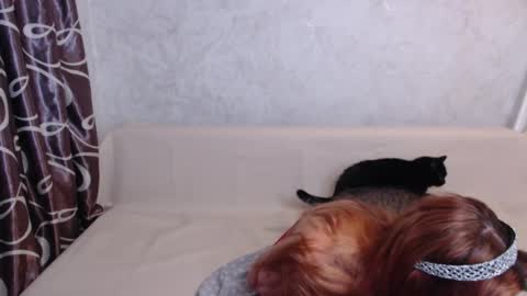 Snapshot of olivia_redd chatting on 14, 9, 2025 Olivia online show from 14, 9, 2025