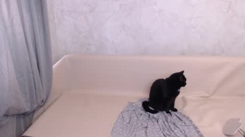 Snapshot of olivia_redd chatting on 5, 10, 2025 Olivia online show from 5, 10, 2025