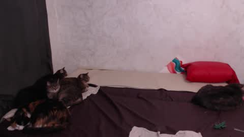 Snapshot of olivia_redd chatting on 4, 2, 2026 Olivia online show from 4, 2, 2026