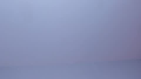 OLIVIA online show from 31, 3, 2026