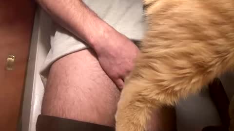 onedayonedollar online show from 25, 2, 2025