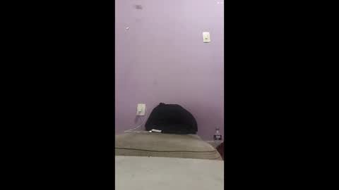 oneninjaone online show from 4, 2, 2026