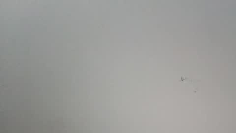 Snapshot of oooxxxrrr chatting on 12, 1, 2026 oooxxxrrr online show from 12, 1, 2026