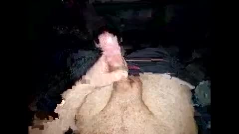 Snapshot of opelator chatting on 27, 1, 2025 opelator online show from 27, 1, 2025