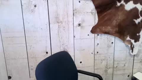 kinkynerd online show from 24, 2, 2025