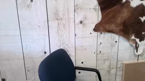 kinkynerd online show from 1, 11, 2025