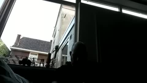 Openminded online show from 23, 12, 2024