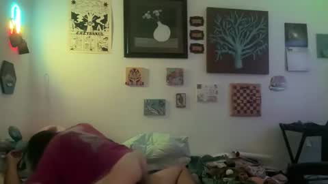 orchid369 online show from 26, 5, 2026