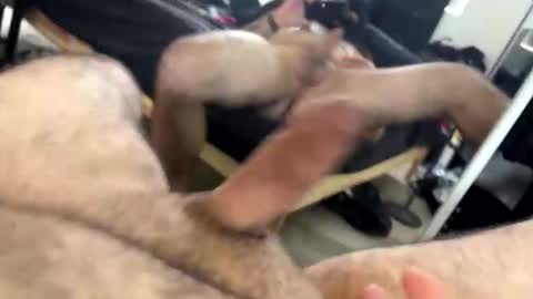 ORGYBARGY69 online show from 14, 11, 2025