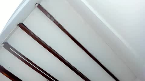 Miss Guzman  online show from 29, 1, 2025