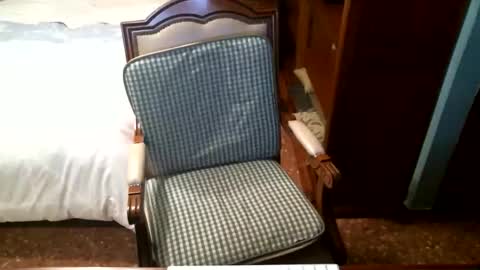 Oscar online show from 16, 12, 2025