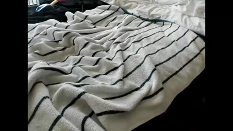 p guin12345 online show from 24, 4, 2026