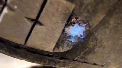 Pablo Meness online show from 5, 12, 2025