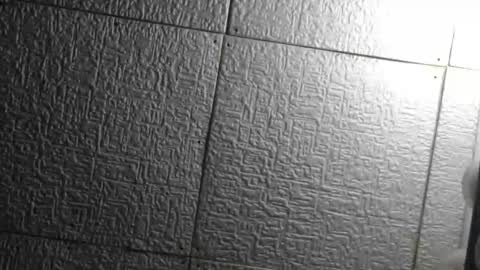 Superfeno online show from 22, 4, 2026