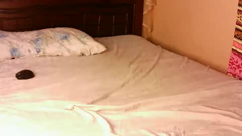 Snapshot of pacie1 chatting on 22, 11, 2025 Pacie online show from 22, 11, 2025