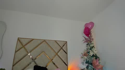 palechor online show from 17, 12, 2025