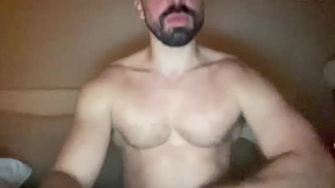 paljp online show from 15, 9, 2025