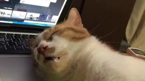 Snapshot of pambeeslyy chatting on 4, 3, 2025 Pam online show from 4, 3, 2025