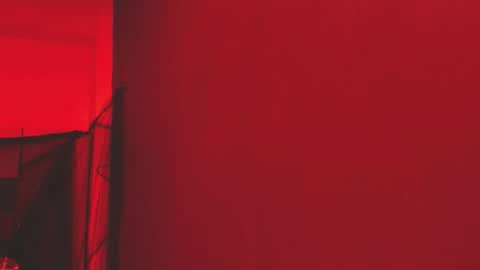  P A M  online show from 1, 11, 2025