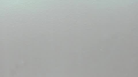  P A M  online show from 1, 2, 2026