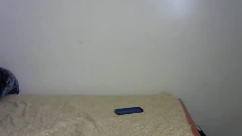 pamela online show from 29, 12, 2024