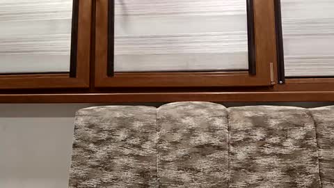 angel hris online show from 14, 1, 2025