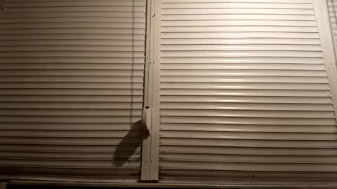 angel hris online show from 5, 3, 2026