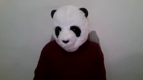 Panda online show from 23, 1, 2025