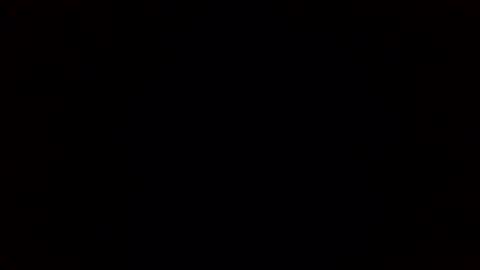 Panda online show from 16, 9, 2025