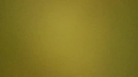 LaRocca online show from 14, 3, 2026