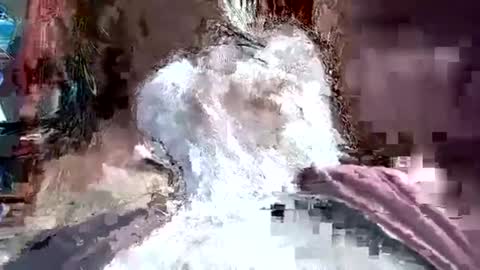 papajb70 online show from 20, 1, 2025